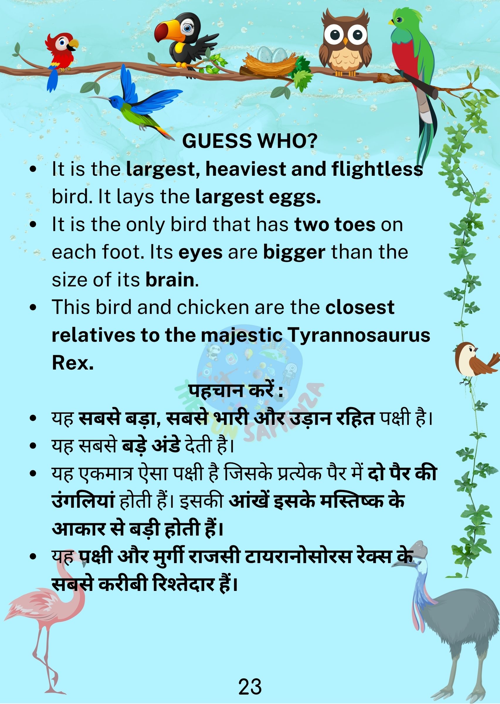 Bird 3 Back